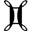 БЛИЗНЕЦЫ
